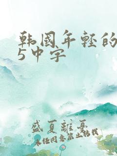 韩国年轻的母亲5中字