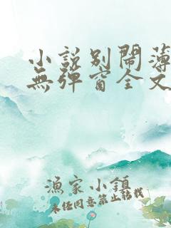 小说别闹薄先生无弹窗全文免费阅读