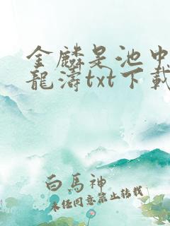 金麟是池中物侯龙涛txt下载