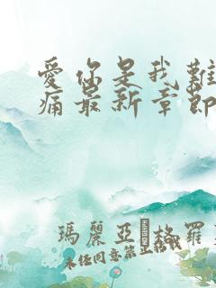 爱你是我难言的痛最新章节目录