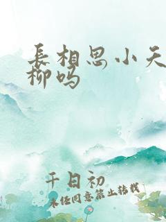 长相思小夭爱相柳吗