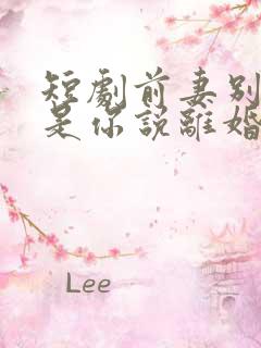 短剧前妻别哭了是你说离婚的