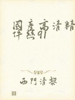 国产高清精品软件丝91