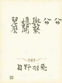 儿媳与公公是什么关系