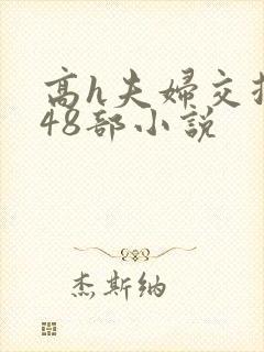高h夫妇交换第48部小说