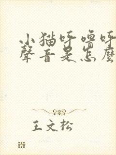 小猫呼噜呼噜的声音是怎么回事