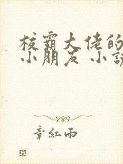 校霸大佬的软萌小朋友 小说