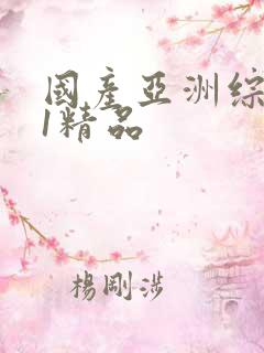 国产亚洲综合91精品