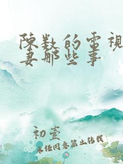 陈数的电视剧夫妻那些事