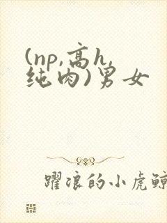 (np,高h,纯肉)男女 (np,高h,纯肉)男女