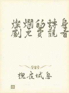 灿烂的转身电视剧免费观看全集