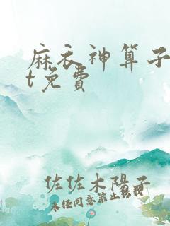 麻衣神算子txt免费