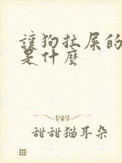 让狗拉屎的狗语是什么