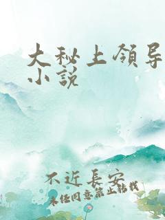 大秘上领导夫人小说