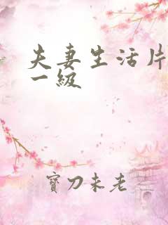 夫妻生活片黄色一级