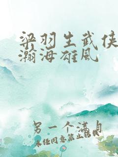 梁羽生武侠小说瀚海雄风