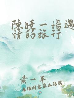 陈晓一场遇见爱情的旅行