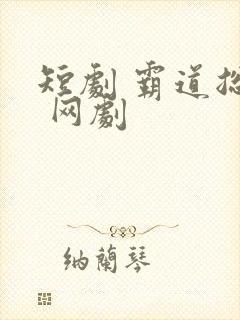 短剧 霸道总裁 网剧