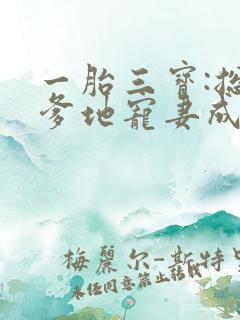 一胎三宝:总裁爹地宠妻成瘾