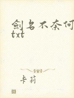 剑名不奈何番外txt