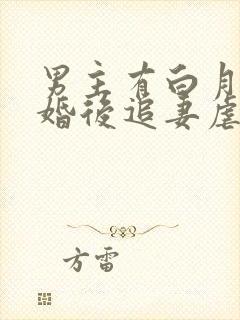 男主有白月光的婚后追妻虐文