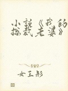 小说《我的冰山总裁老婆》