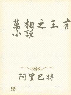 万相之王有声听小说