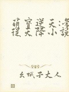 萌宝逆天:爹地从天降小说免费阅读