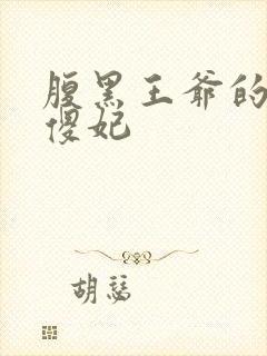腹黑王爷的神医傻妃