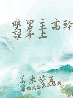 双男主高干文小说年上