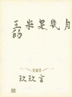 玉米是几月成熟的