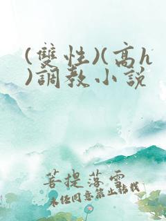 (双性)(高h)调教小说