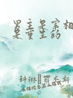 男主是宰相女主是重生的