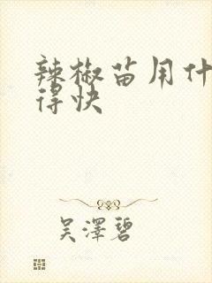 辣椒苗用什么长得快
