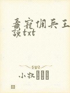毒宠佣兵王妃小说txt