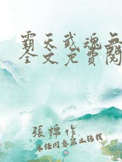 霸天武魂无弹窗全文免费阅读