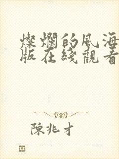 灿烂的风海免费版在线观看