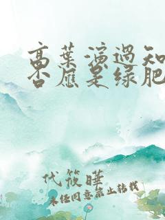 高叶演过知否知否应是绿肥红瘦吗