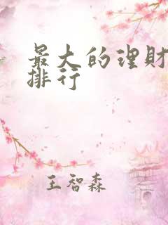 最大的理财平台排行