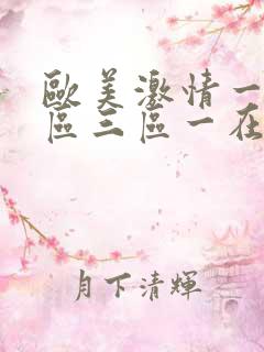 欧美激情一区二区三区一在线