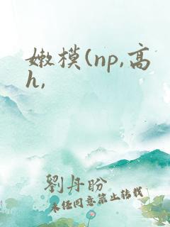 嫩模(np,高h,