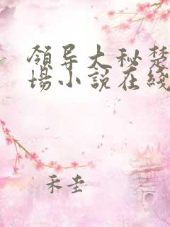 领导大秘楚晨官场小说在线