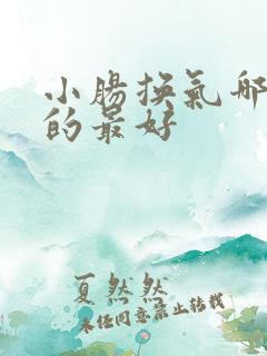 小肠换气哪里治的最好