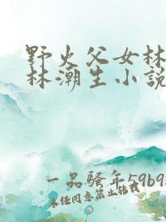 野火父女林晚晚林潮生小说