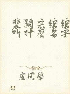 裴阙宋绾绾小说叫什么名字