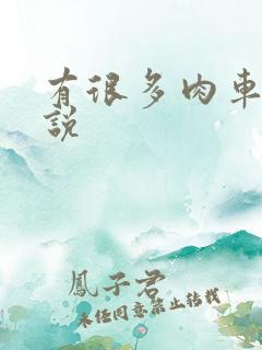 有很多肉车的小说