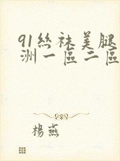 91丝袜美腿亚洲一区二区