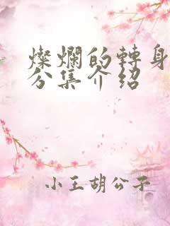 灿烂的转身剧情分集介绍