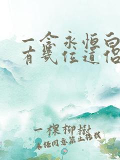 一念永恒白小纯有几位道侣