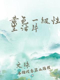 黄色一级性夫妻生活片